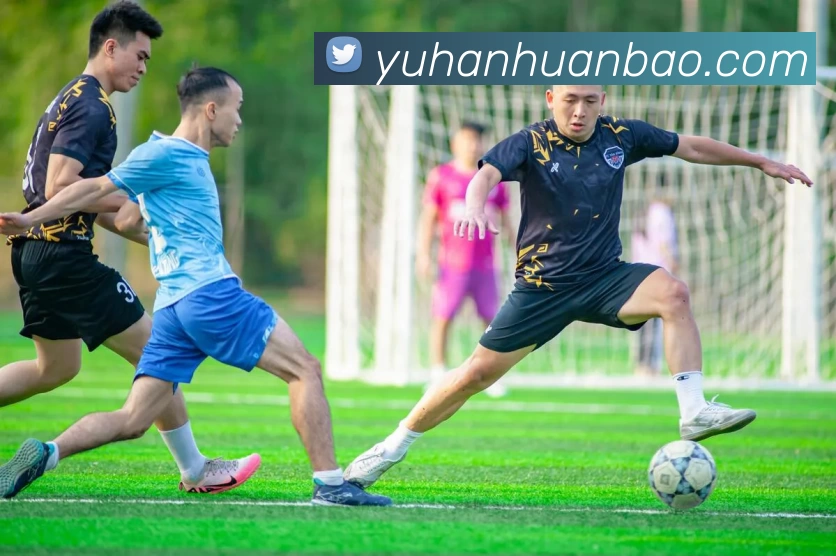 十大信誉好的平台全站App 十大信誉好的平台全站App